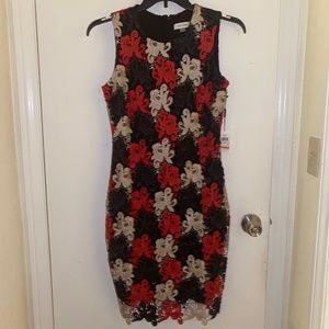Calvin Klein Lace Dress